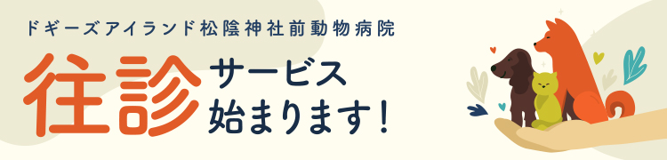 往診サービス始まります